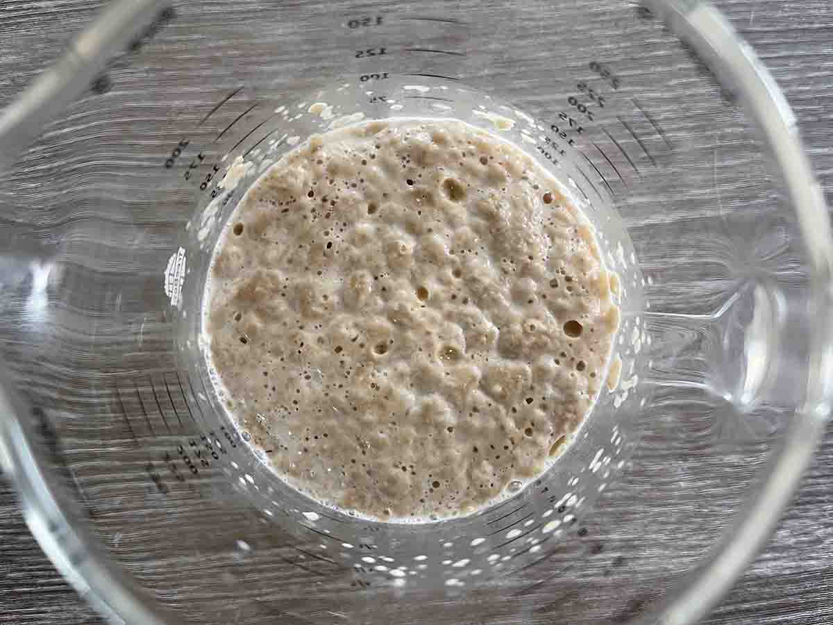 milk and yeast in a jug.