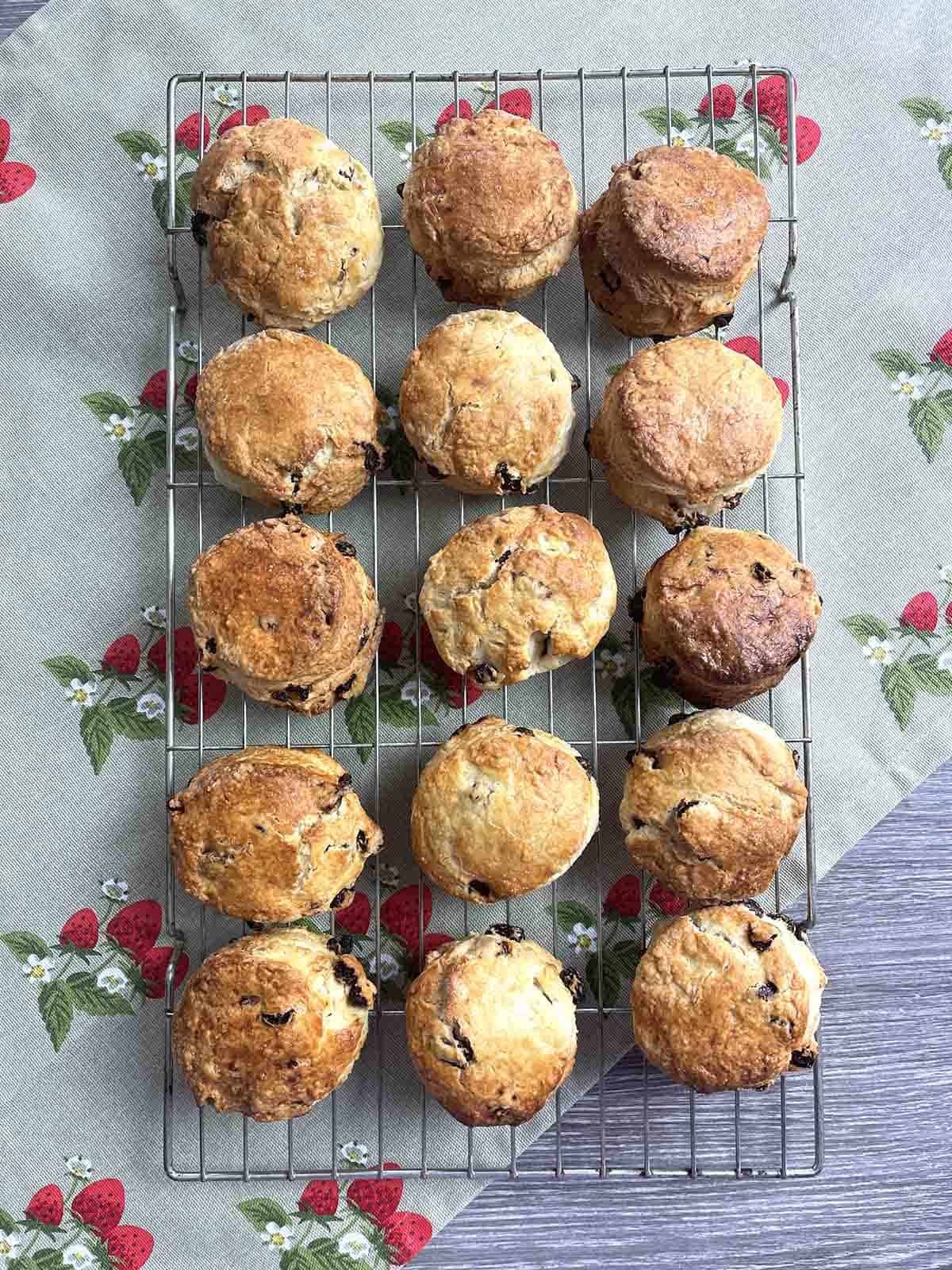 sultana scones on a cooling rack.