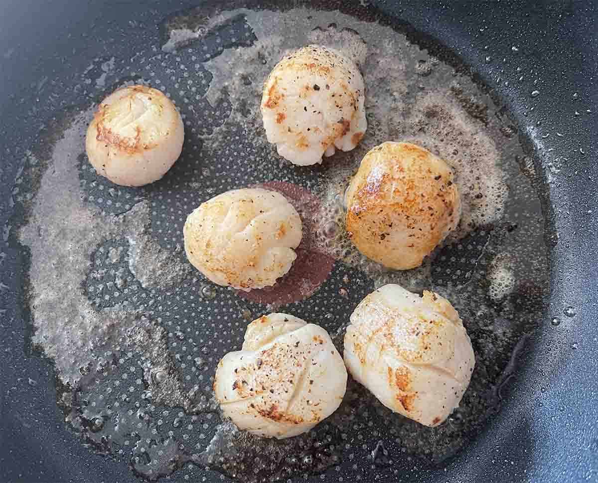 pan seared scallops in a pan.