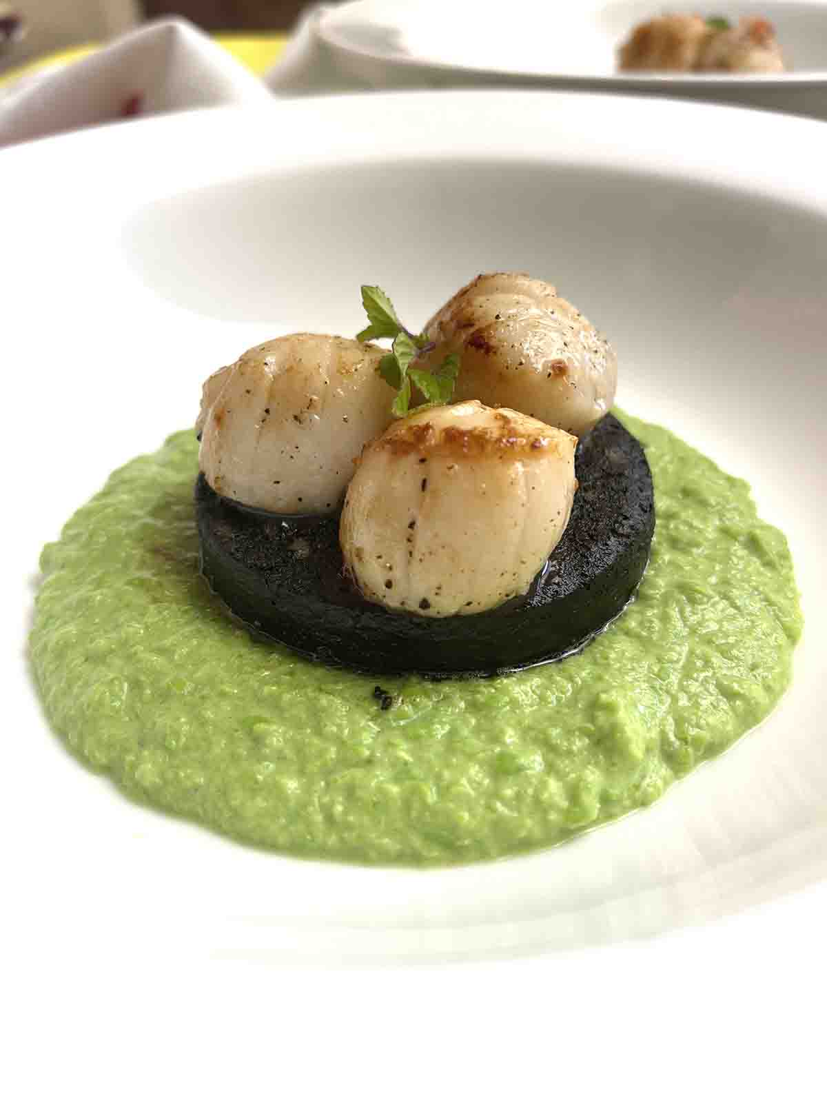 close up of scallops with pea puree.